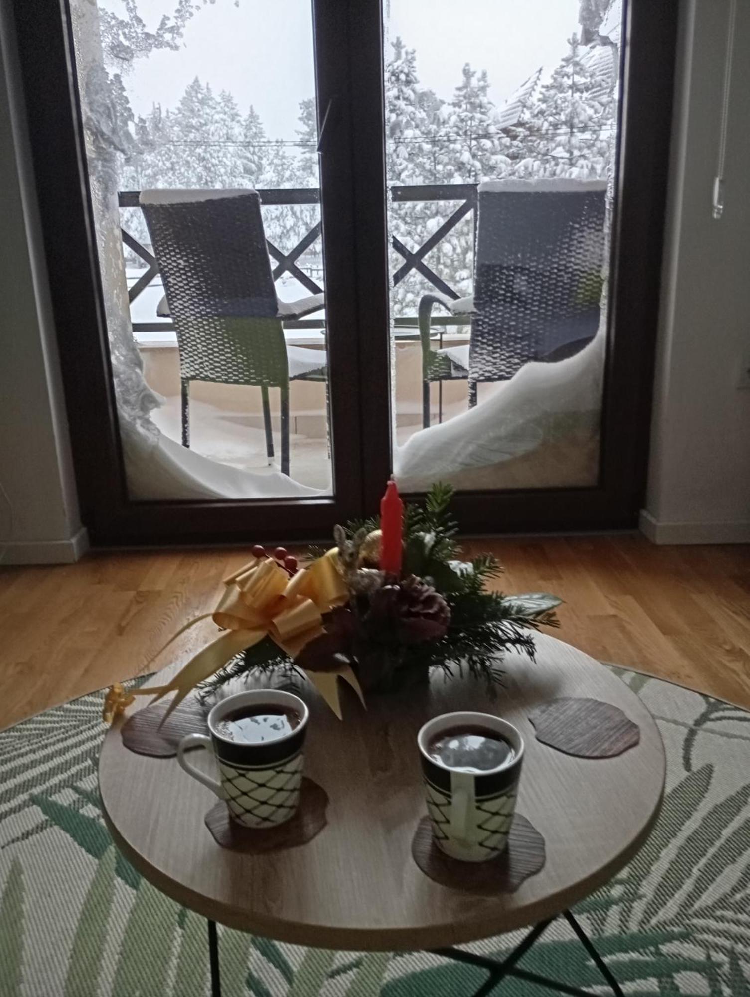 Apartman Pahuljica Tara 바레 외부 사진
